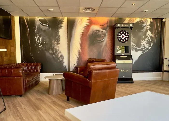 Hotel Ibis Styles Bordeaux Medard 3*