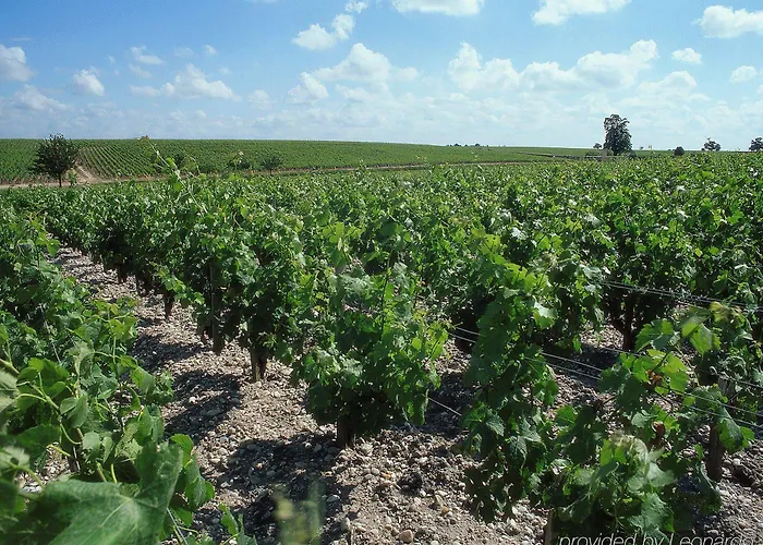 Ibis Styles Bordeaux Médard Saint-Médard-en-Jalles